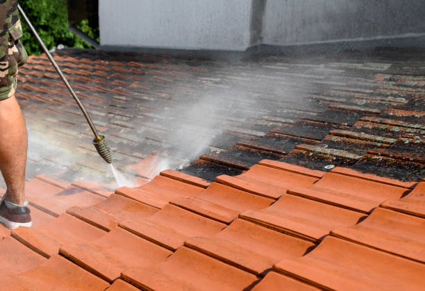 Best Deck Cleaning Services  in Buda, TX